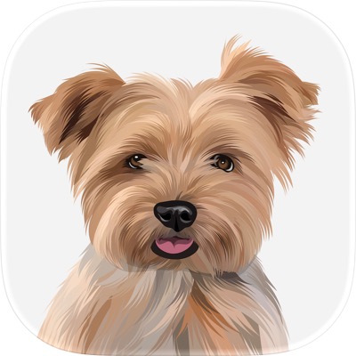 LisDog app icon